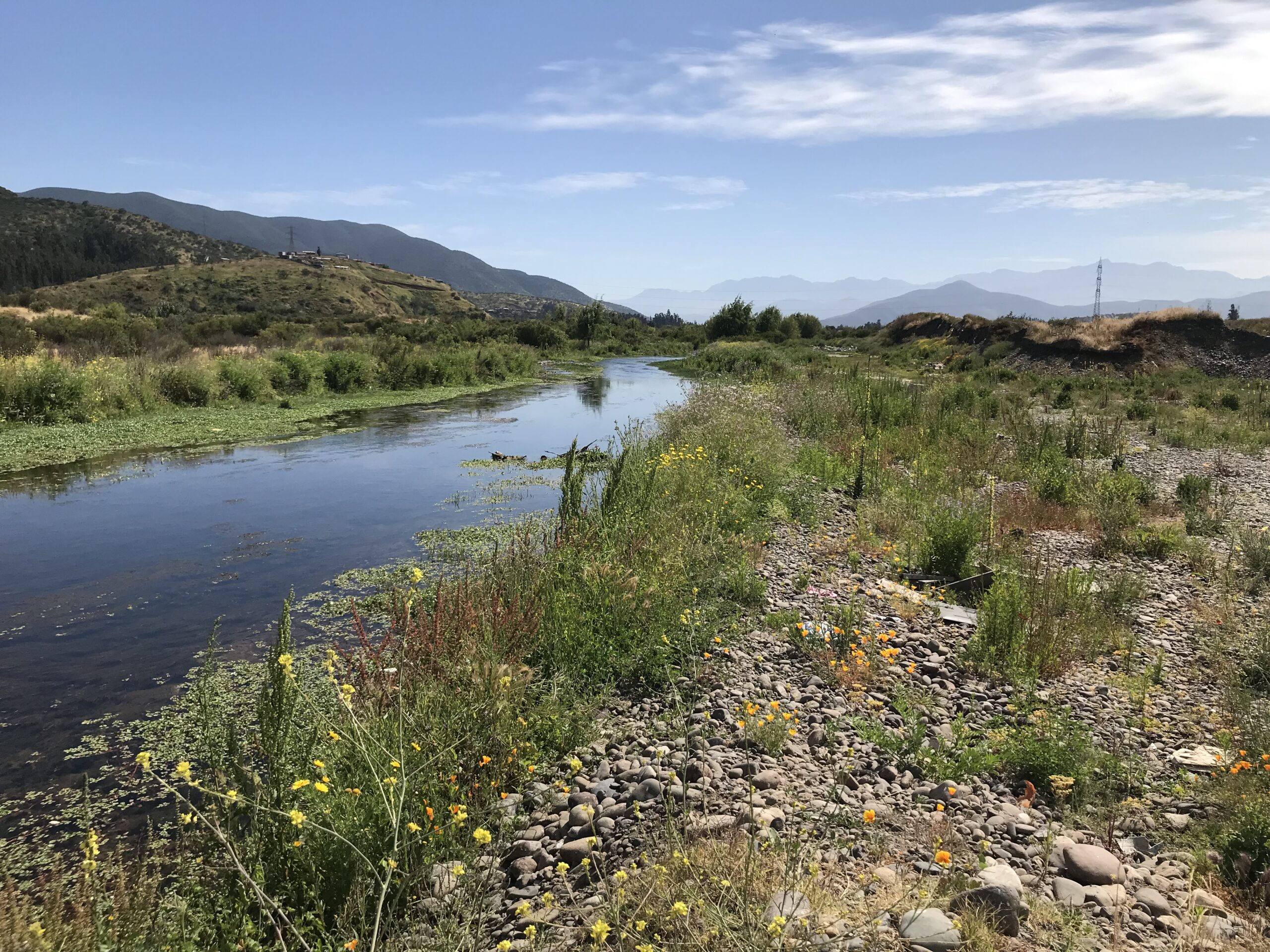 Línea de Base Ambiental