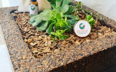 Valorización de Residuos